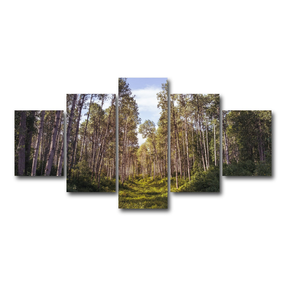 AUTO-MOCKUP WHITE | The Grove | 5 Piece | Gallery Wrap Canvas | group=5_short