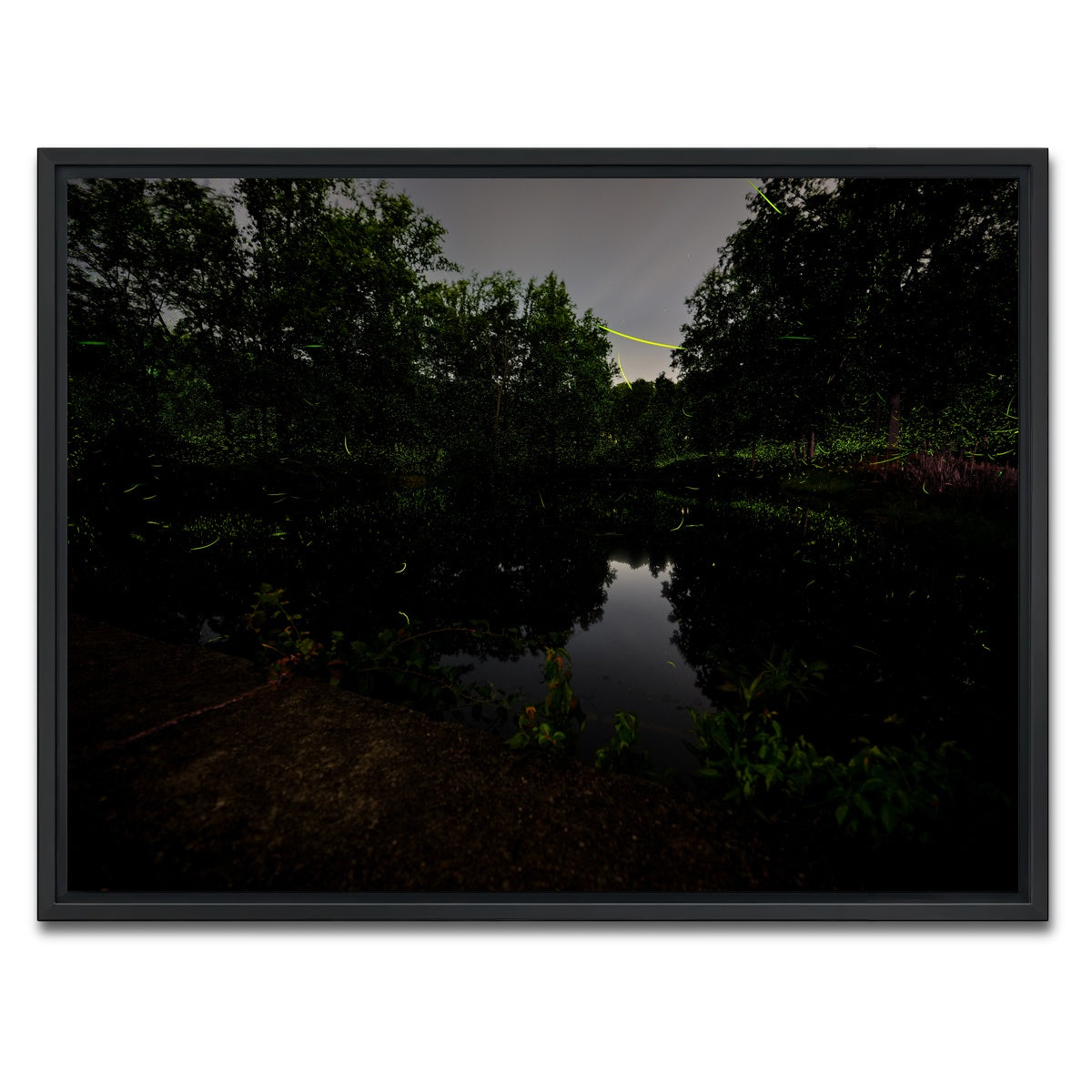 AUTO-MOCKUP WHITE | The Light Remembered | 1 Piece | Black Framed Canvas | group=4x3