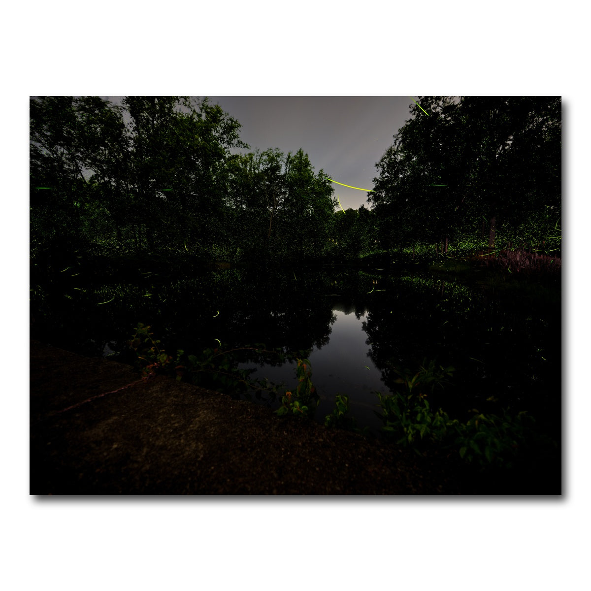 AUTO-MOCKUP WHITE | The Light Remembered | 1 Piece | Gallery Wrap Canvas | group=4x3