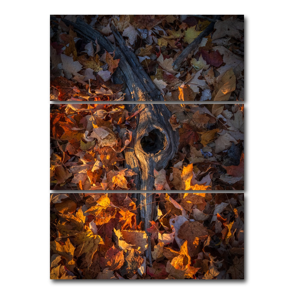 AUTO-MOCKUP WHITE | The Memory of Trees | 3 Piece | Gallery Wrap Canvas | group=8x18_stacked