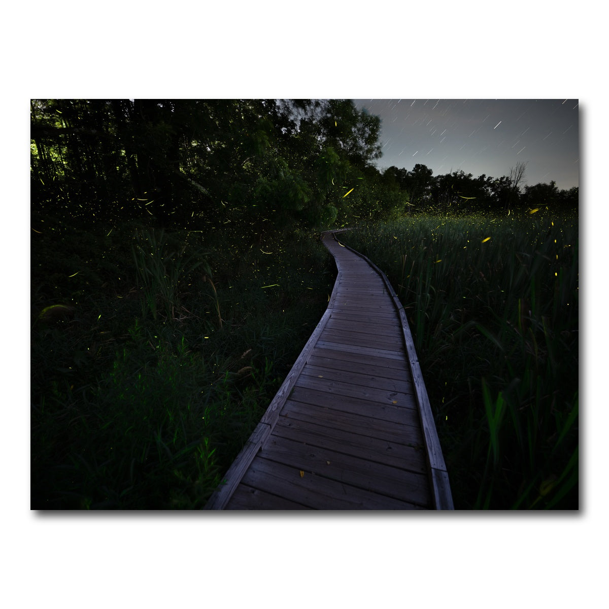 AUTO-MOCKUP WHITE | The Quiet Forward | 1 Piece | Gallery Wrap Canvas | group=4x3