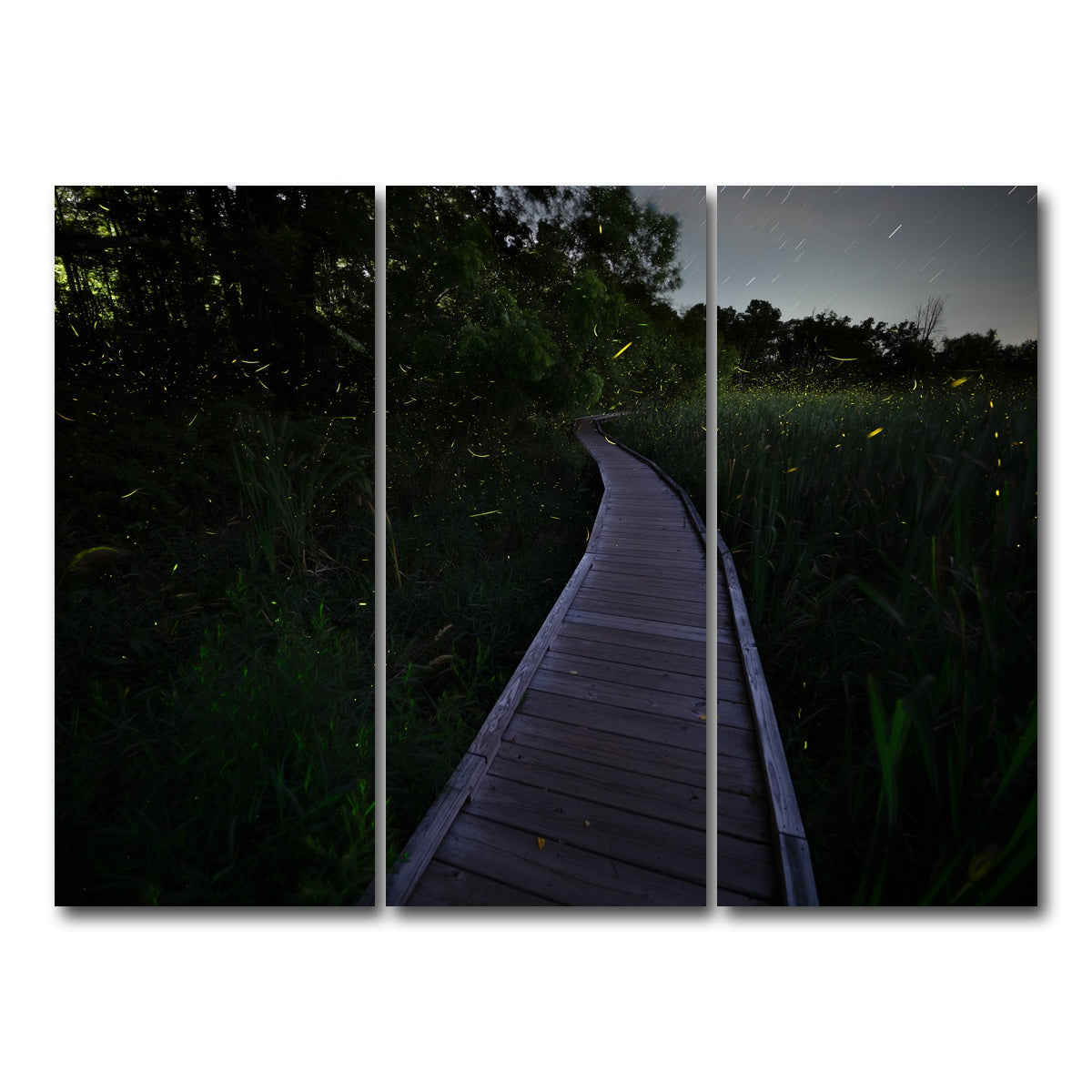 AUTO-MOCKUP WHITE | The Quiet Forward | 3 Piece | Gallery Wrap Canvas | group=8x18