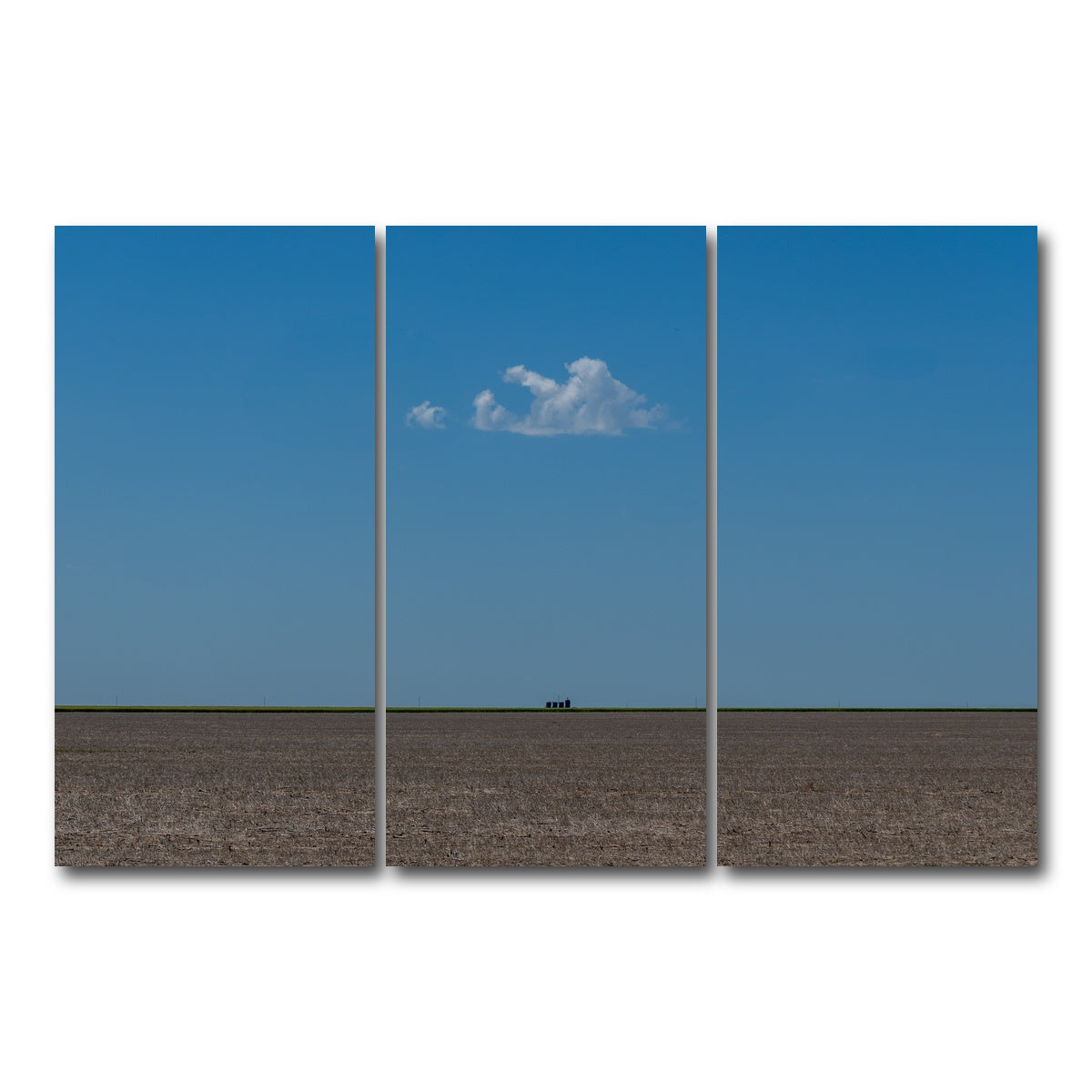 AUTO-MOCKUP WHITE | The Soul Cloud | 3 Piece | Gallery Wrap Canvas | group=12x24