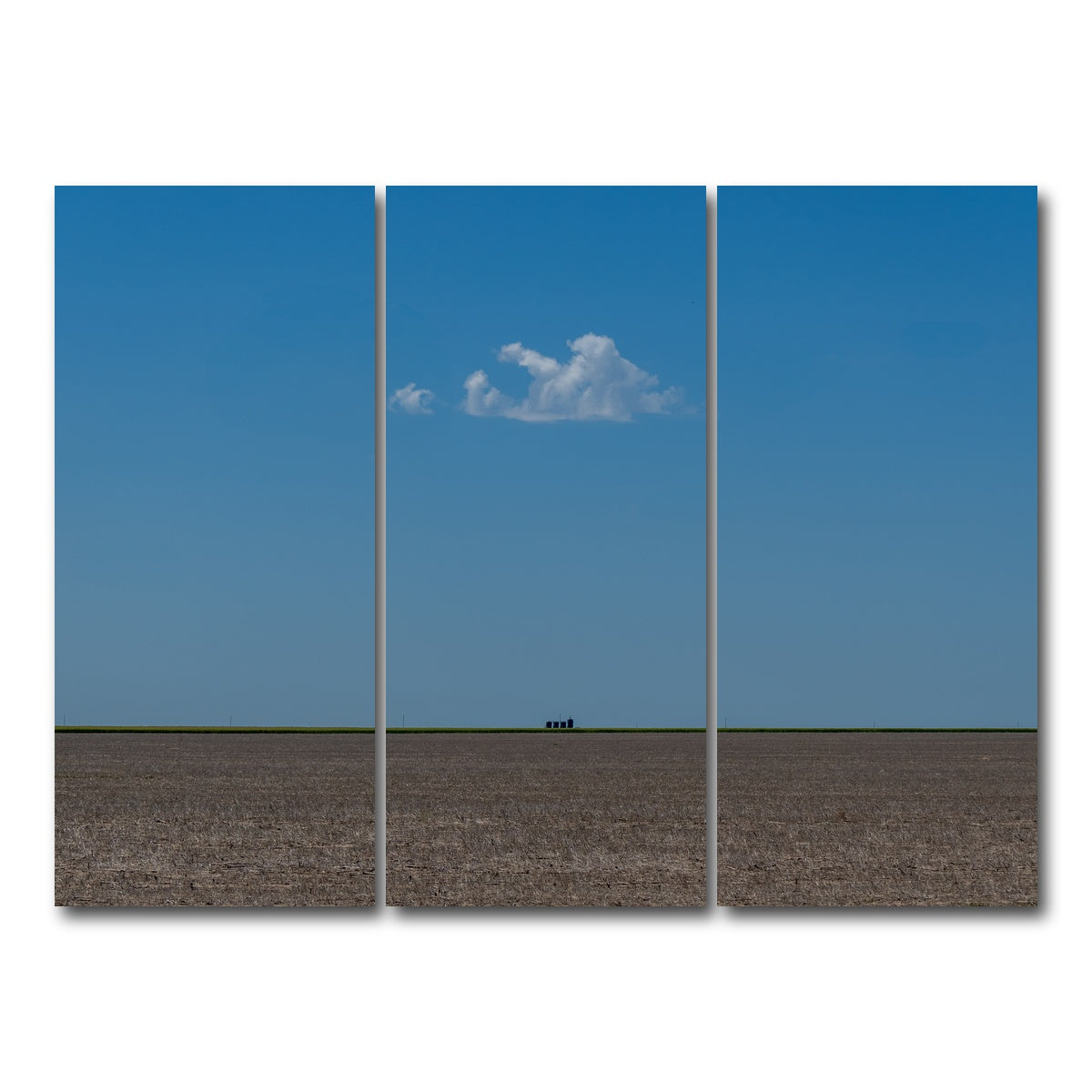 AUTO-MOCKUP WHITE | The Soul Cloud | 3 Piece | Gallery Wrap Canvas | group=8x18