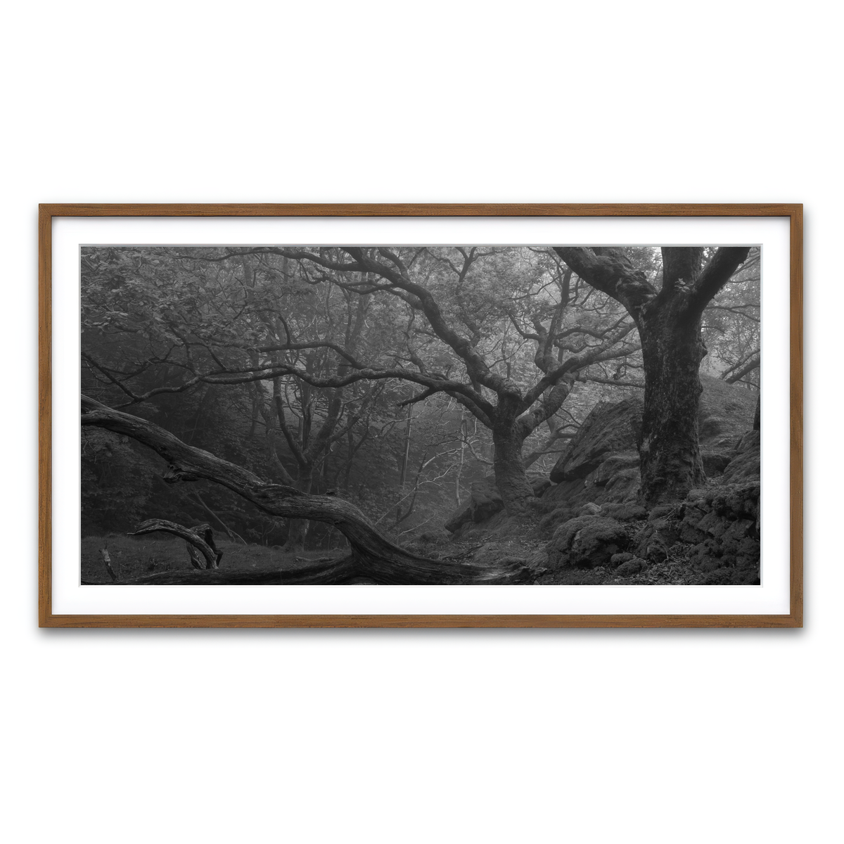 Framed Print 2x1 Walnut