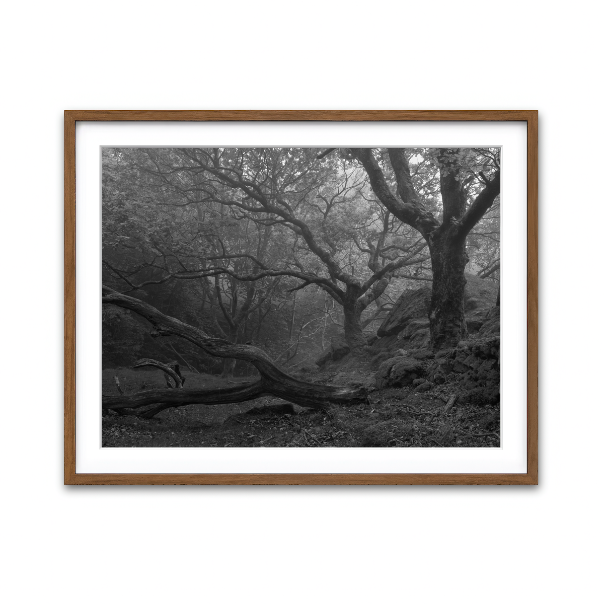 Framed Print 4x3 Walnut