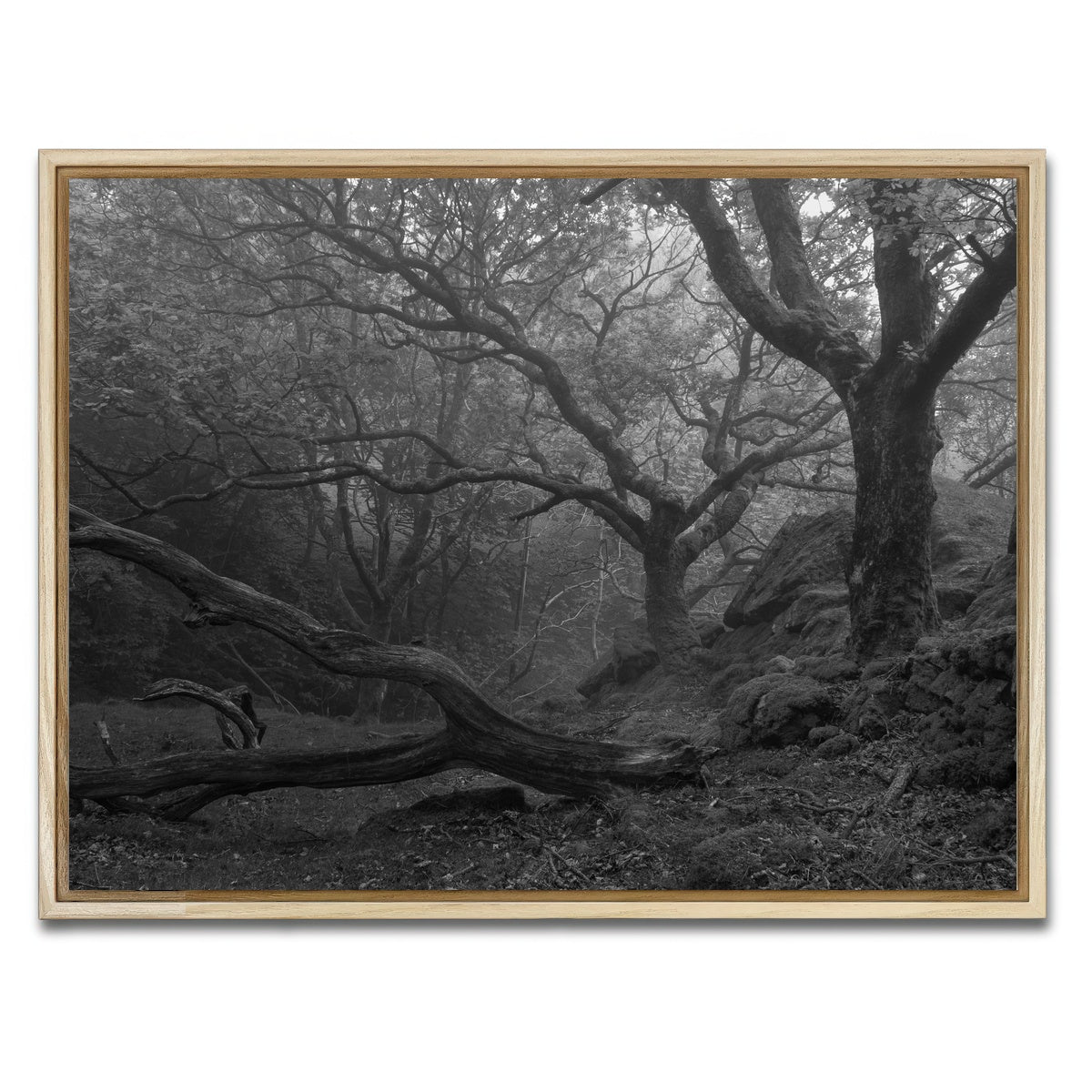 AUTO-MOCKUP WHITE | Thick Roots | 1 Piece | Natural Framed Canvas | group=4x3