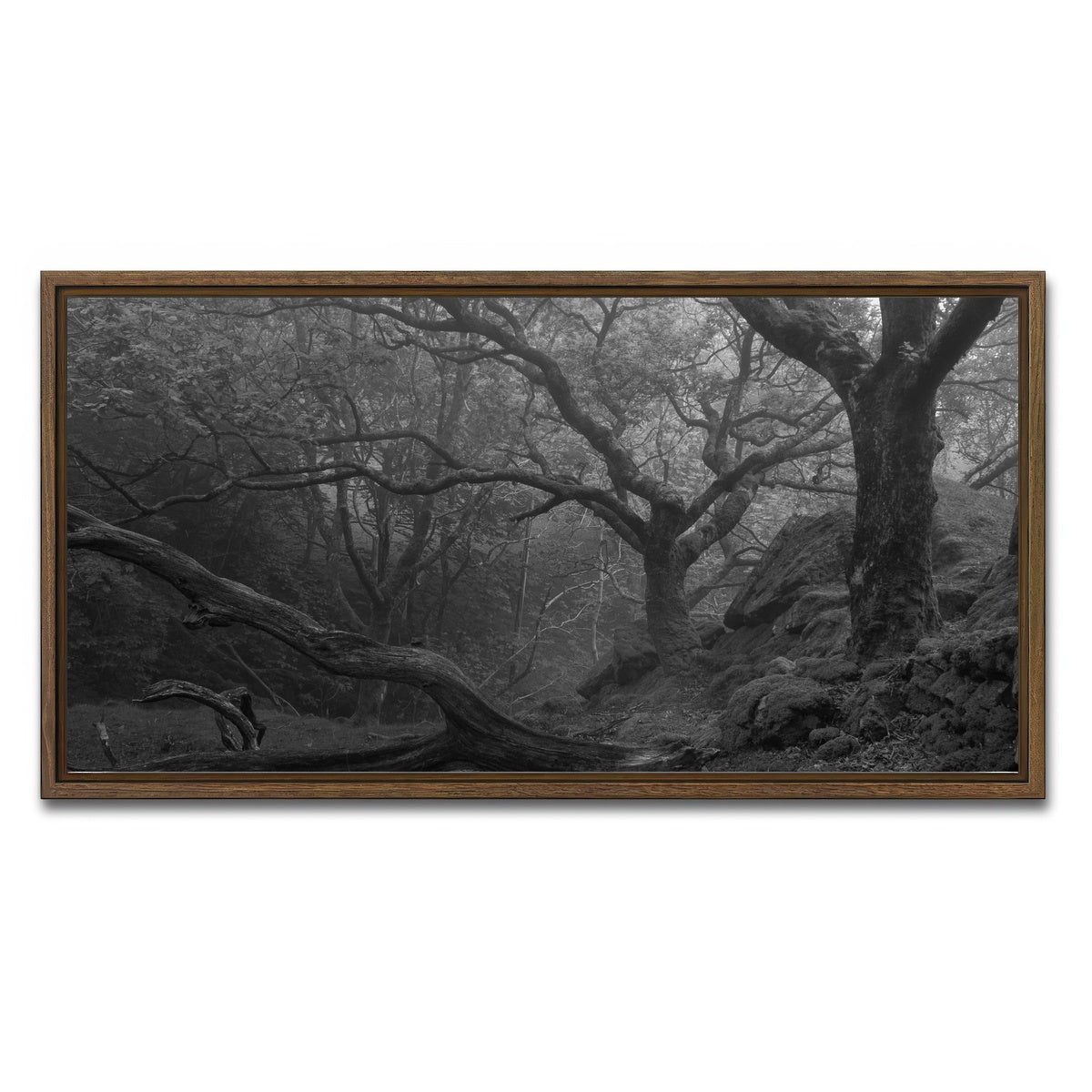 AUTO-MOCKUP WHITE | Thick Roots | 1 Piece | Walnut Framed Canvas | group=2x1