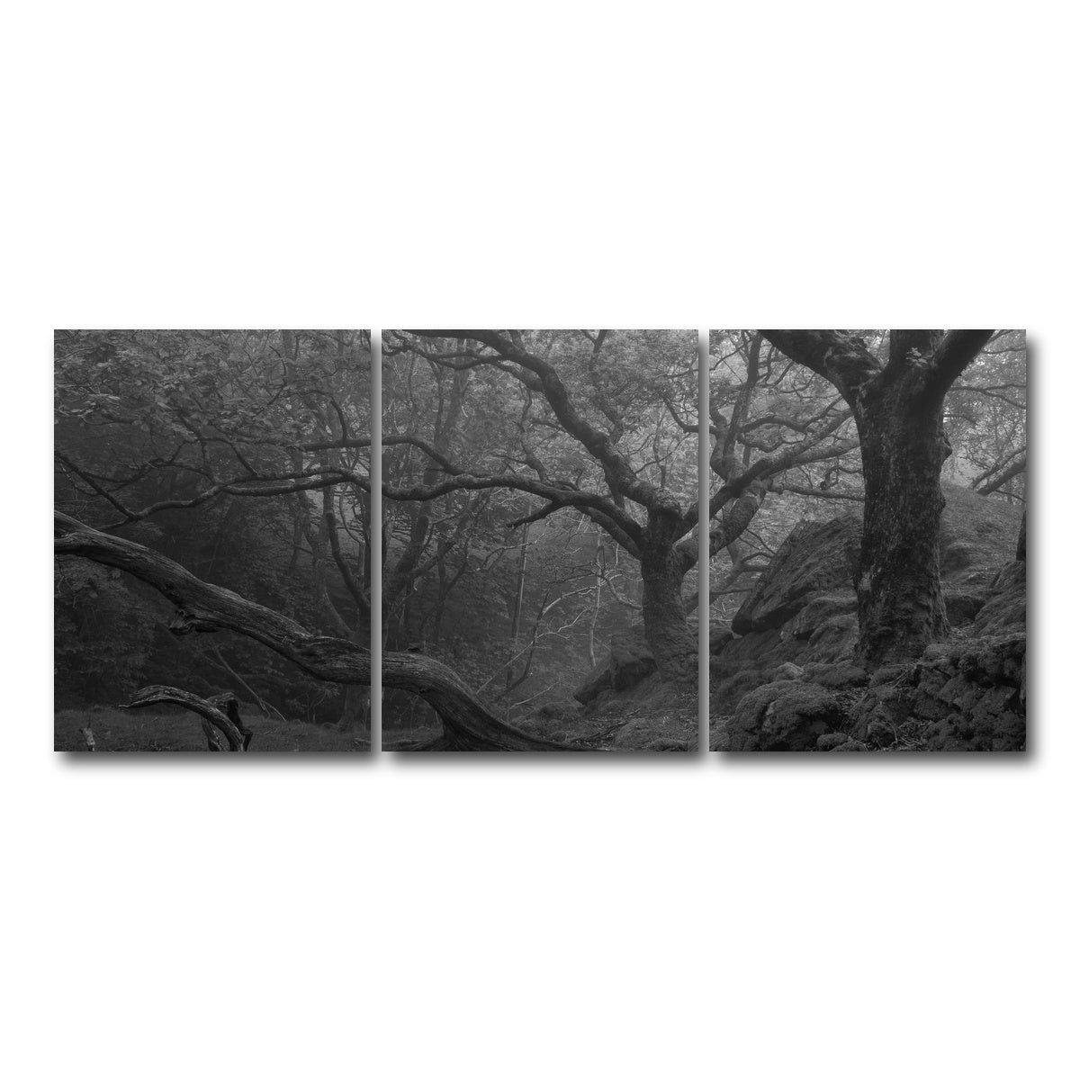AUTO-MOCKUP WHITE | Thick Roots | 3 Piece | Gallery Wrap Canvas | group=18x24