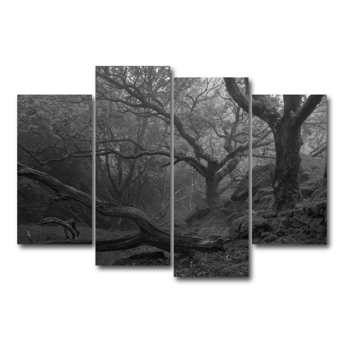 AUTO-MOCKUP WHITE | Thick Roots | 4 Piece | Gallery Wrap Canvas | group=4_short