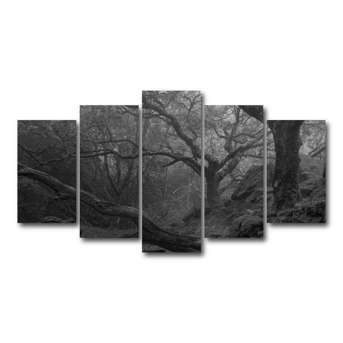 AUTO-MOCKUP WHITE | Thick Roots | 5 Piece | Gallery Wrap Canvas | group=5_normal