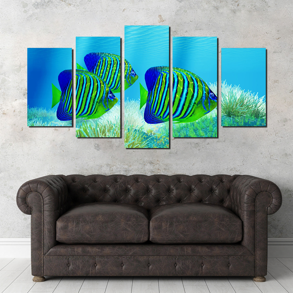 Three Regal Angelfish