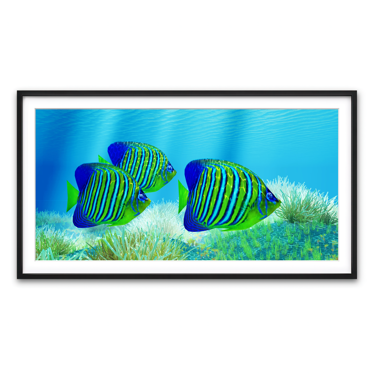 Framed Print 2x1 Black