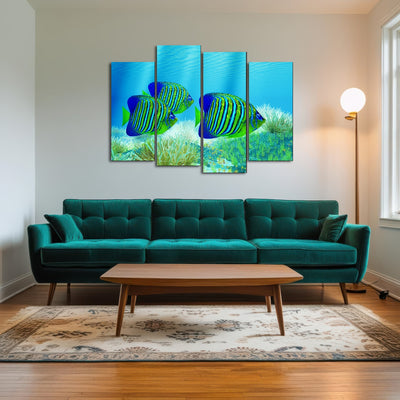 AUTO-MOCKUP ROOM | Three Regal Angelfish