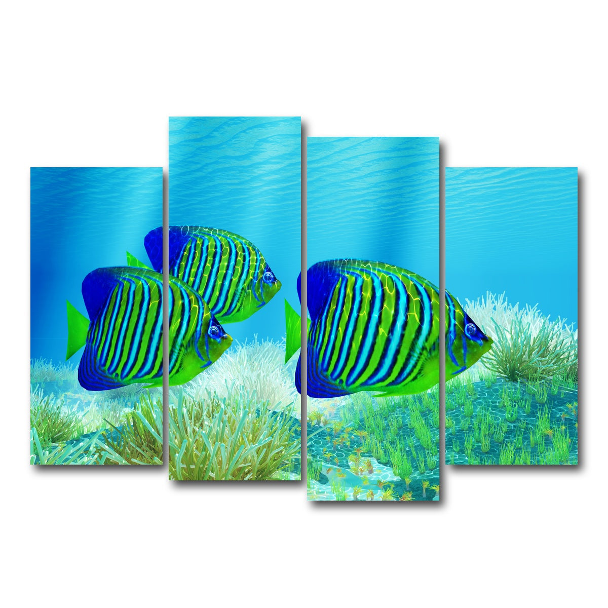 AUTO-MOCKUP WHITE | Three Regal Angelfish | 4 Piece | Gallery Wrap Canvas | group=4_normal