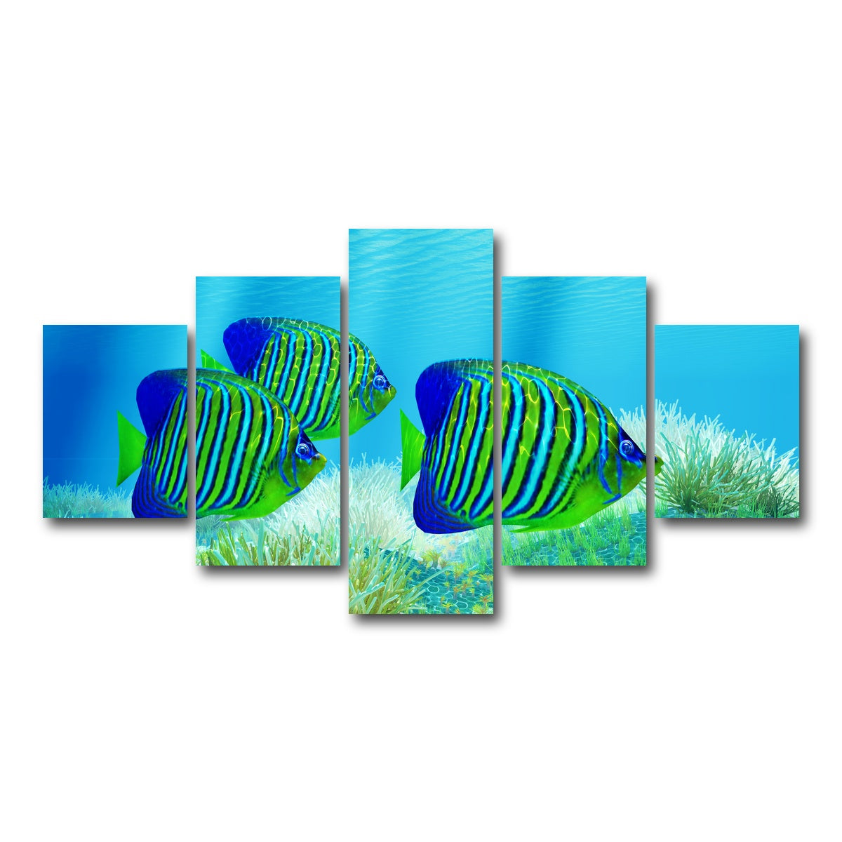 AUTO-MOCKUP WHITE | Three Regal Angelfish | 5 Piece | Gallery Wrap Canvas | group=5_short