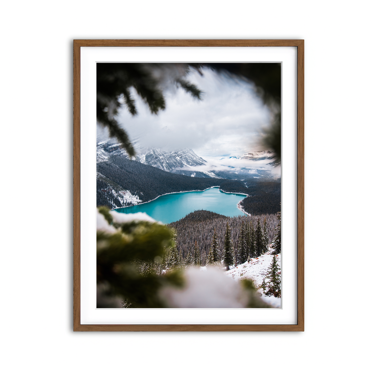 Framed Print 3x4 Walnut