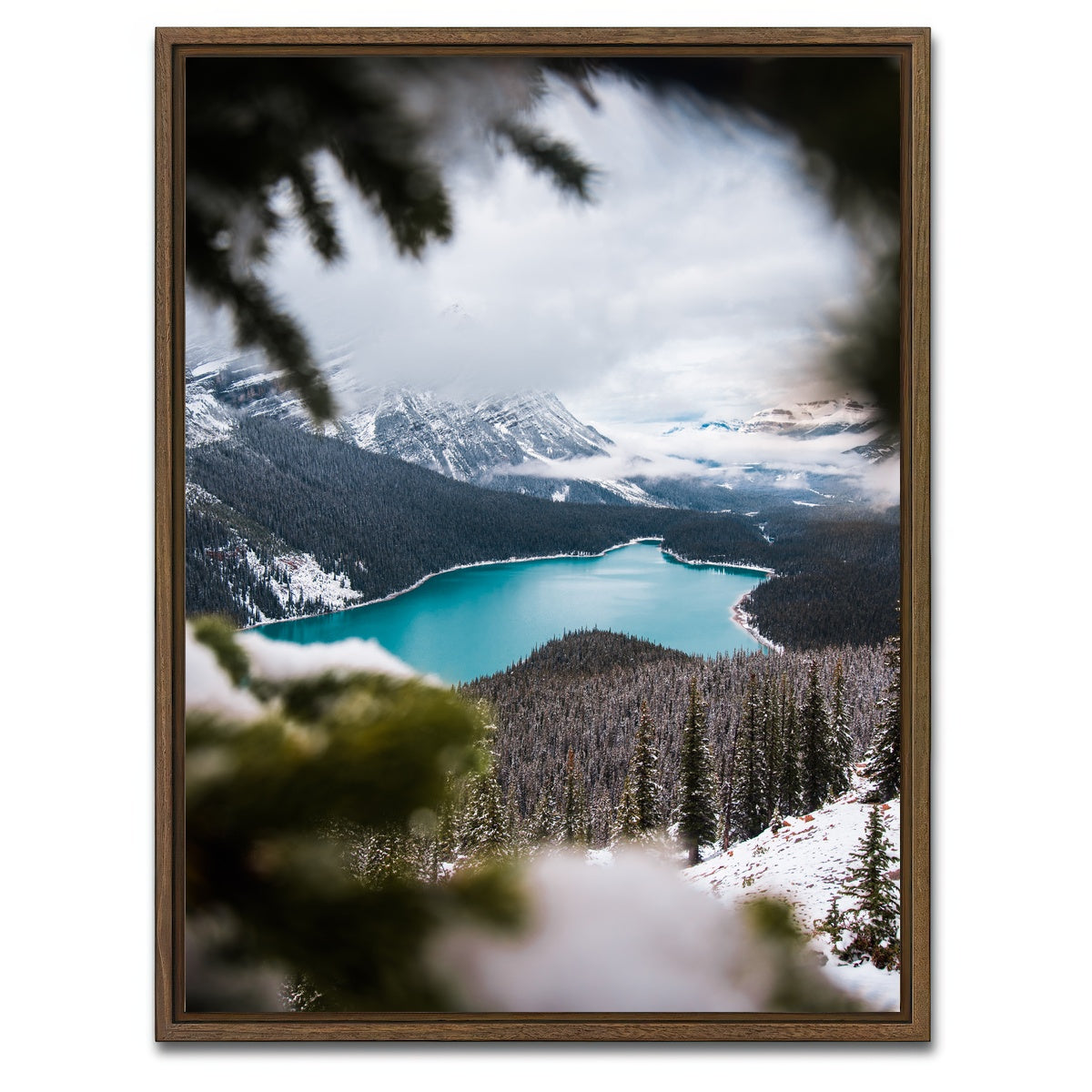 AUTO-MOCKUP WHITE | Through the Trees | 1 Piece | Walnut Framed Canvas | group=3x4