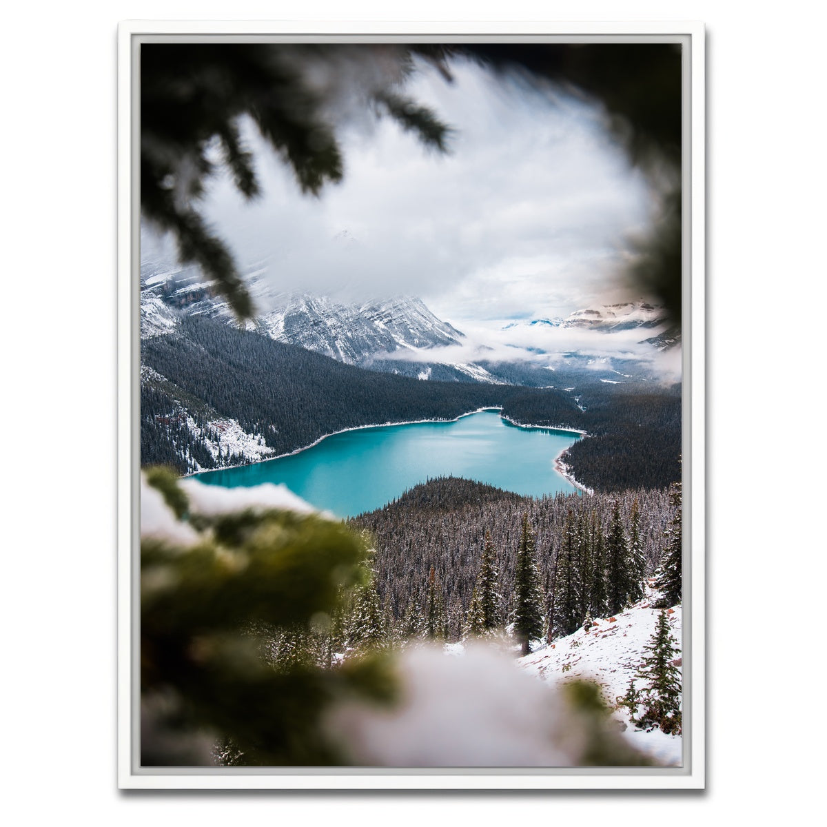 AUTO-MOCKUP WHITE | Through the Trees | 1 Piece | White Framed Canvas | group=3x4