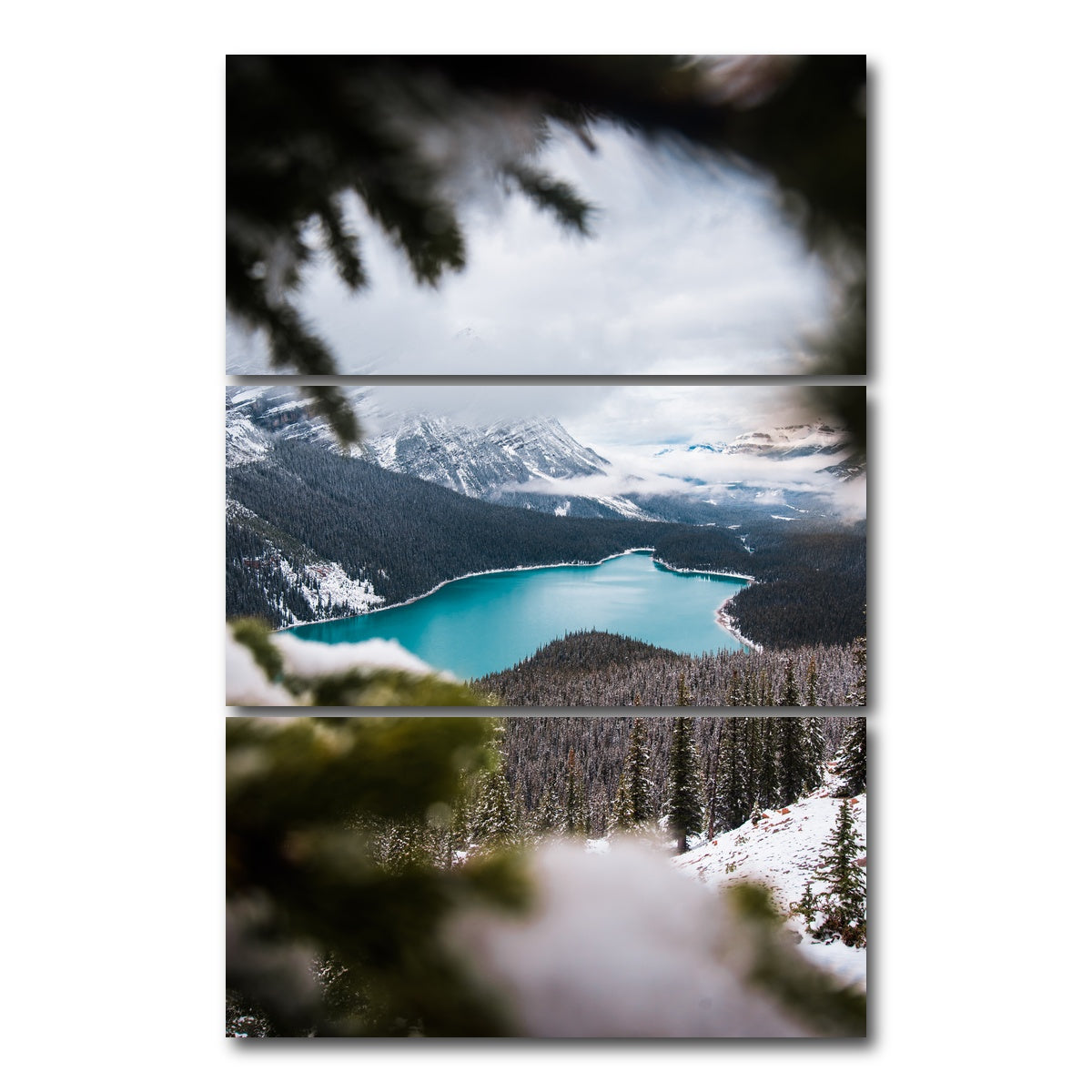 AUTO-MOCKUP WHITE | Through the Trees | 3 Piece | Gallery Wrap Canvas | group=12x24_stacked