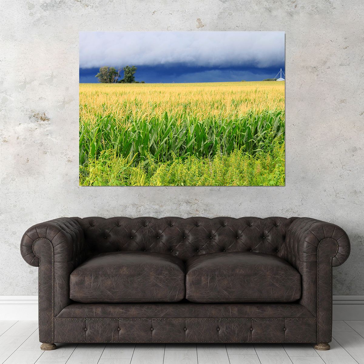 Thunderstorm Over Illinois Cornfield