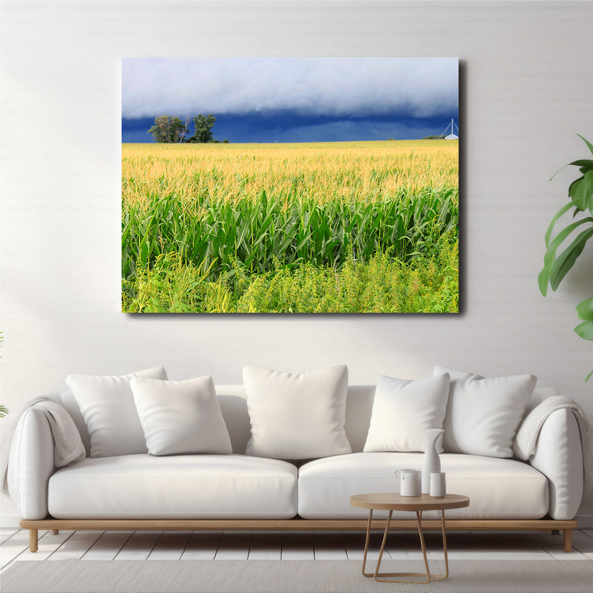 Thunderstorm Over Illinois Cornfield