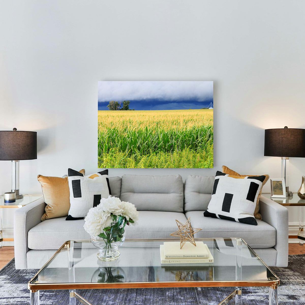 Thunderstorm Over Illinois Cornfield Wall Art