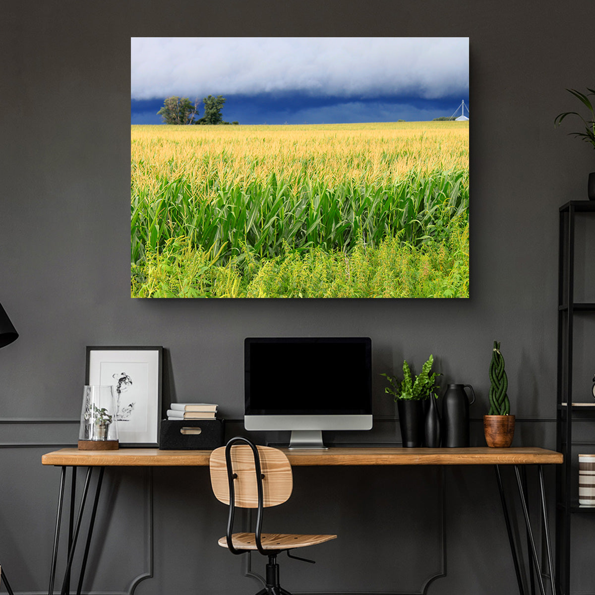 Thunderstorm Over Illinois Cornfield