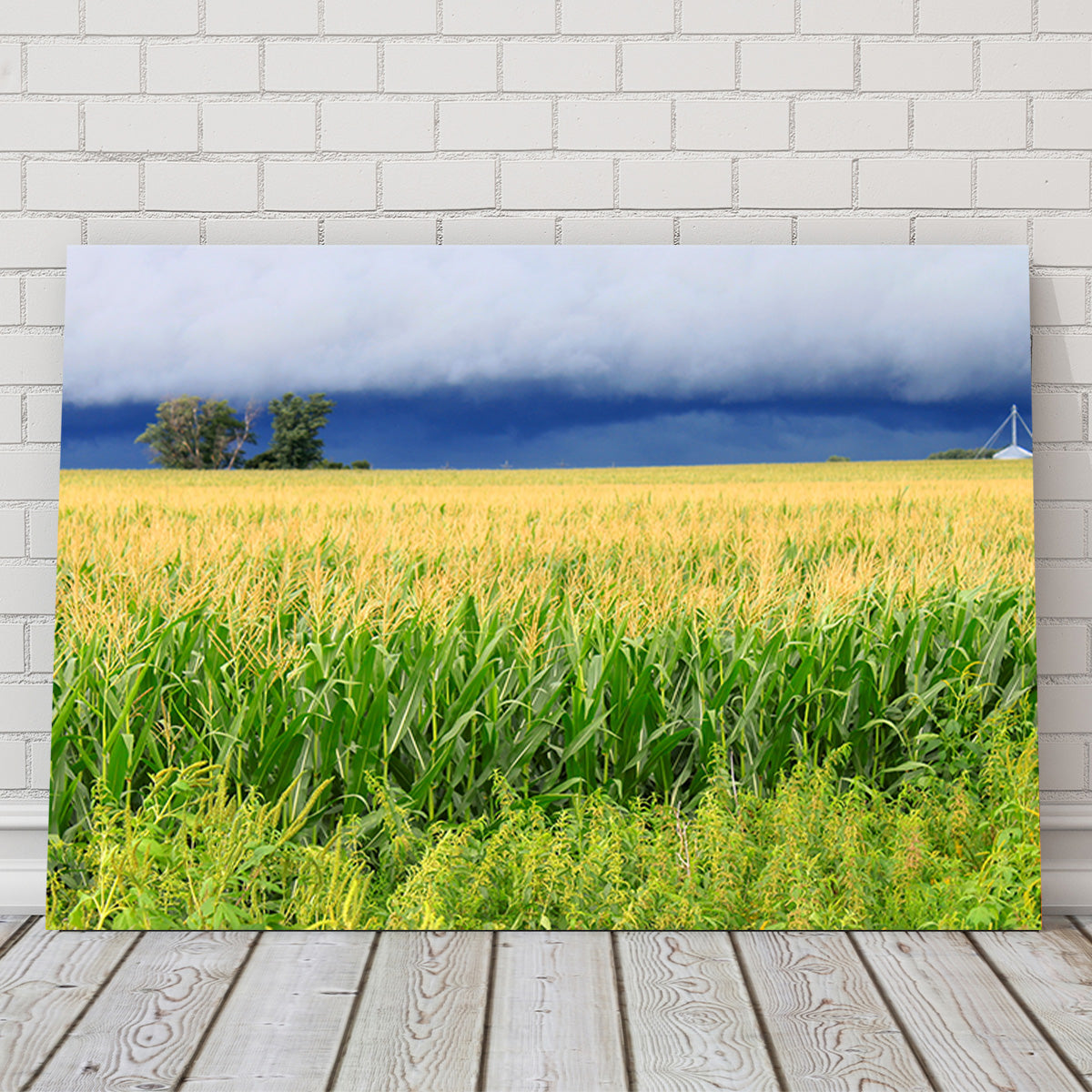 Thunderstorm Over Illinois Cornfield Wall Art