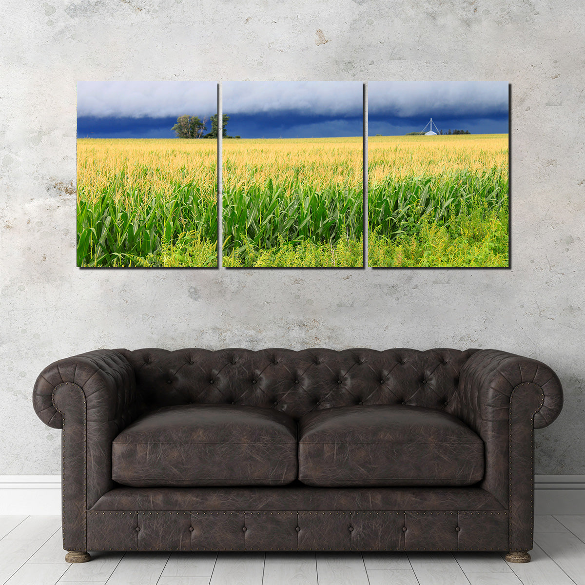 Thunderstorm Over Illinois Cornfield