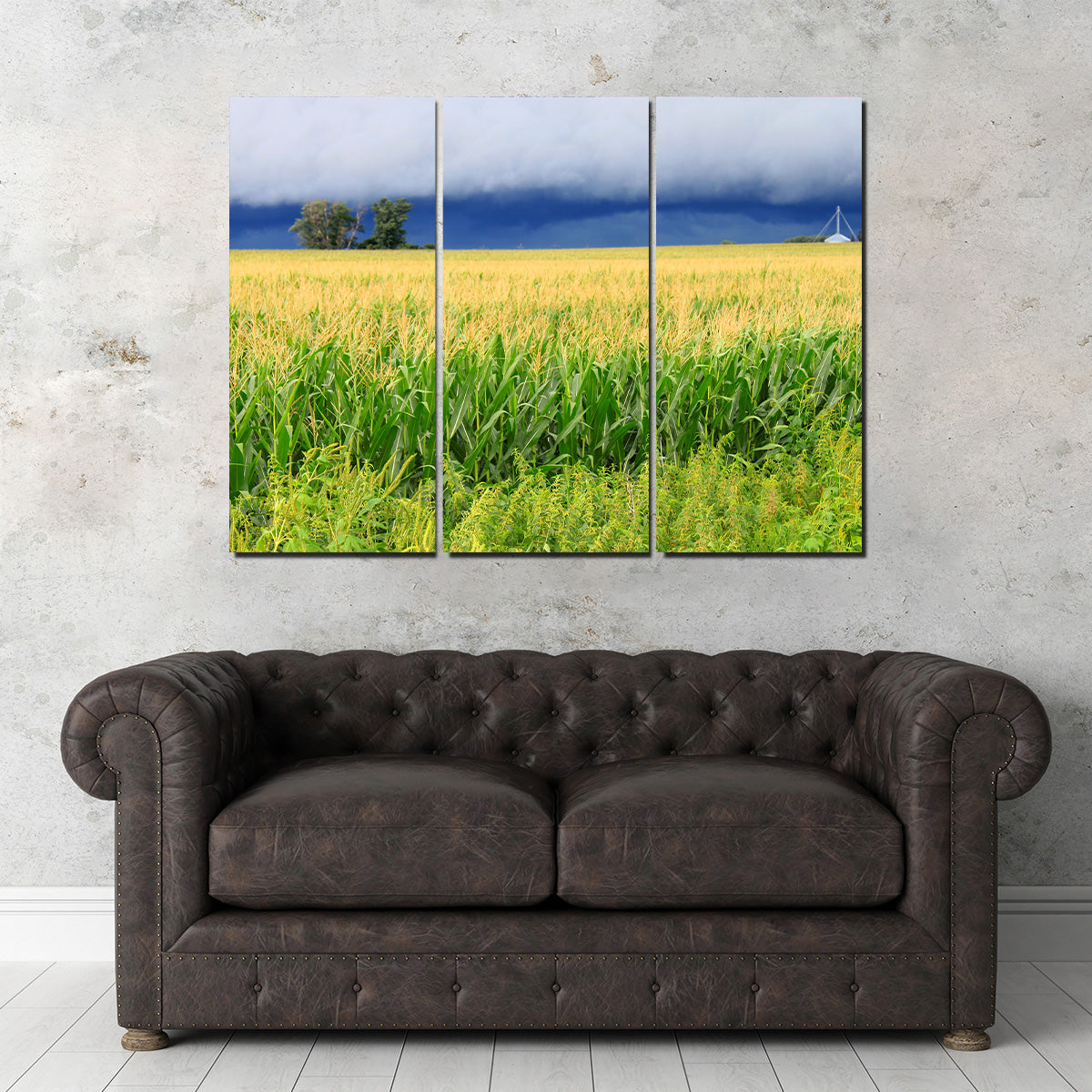 Thunderstorm Over Illinois Cornfield