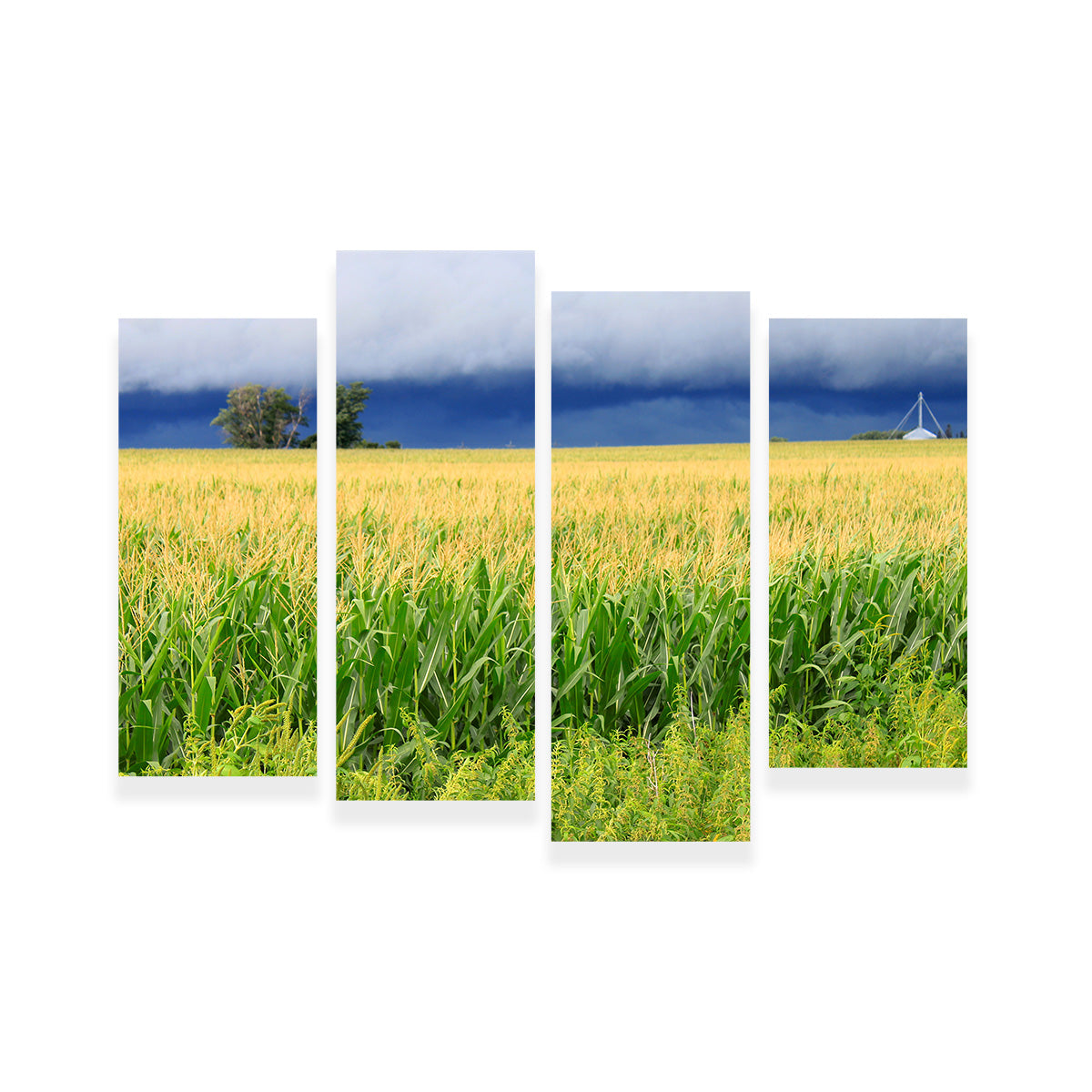 Thunderstorm Over Illinois Cornfield Wall Art