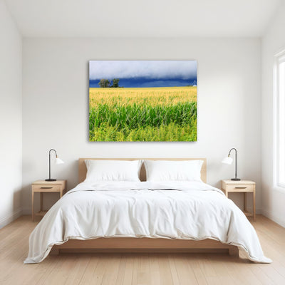 AUTO-MOCKUP ROOM | Thunderstorm Over Illinois Cornfield