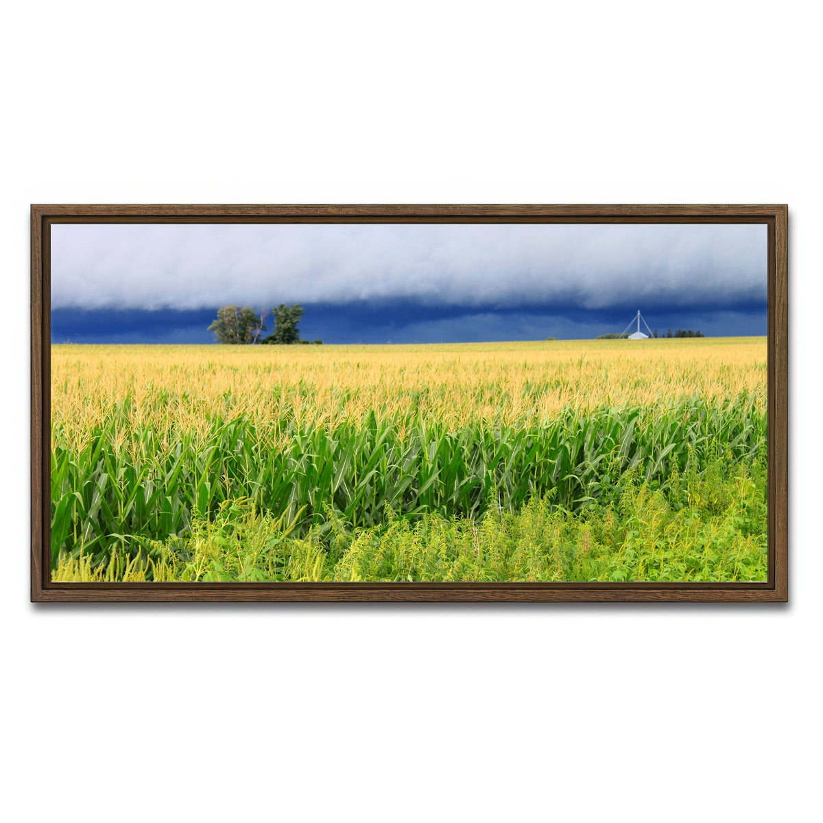 AUTO-MOCKUP WHITE | Thunderstorm Over Illinois Cornfield | 1 Piece | Walnut Framed Canvas | group=2x1