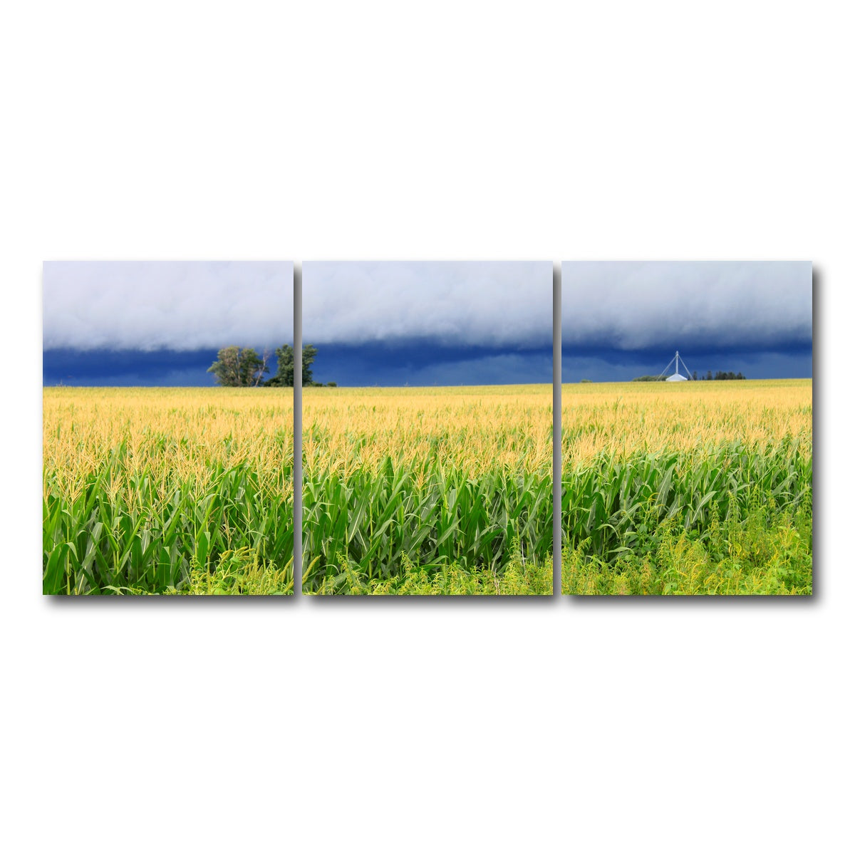AUTO-MOCKUP WHITE | Thunderstorm Over Illinois Cornfield | 3 Piece | Gallery Wrap Canvas | group=18x24