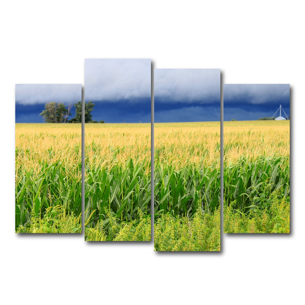 AUTO-MOCKUP WHITE | Thunderstorm Over Illinois Cornfield | 4 Piece | Gallery Wrap Canvas | group=4_normal