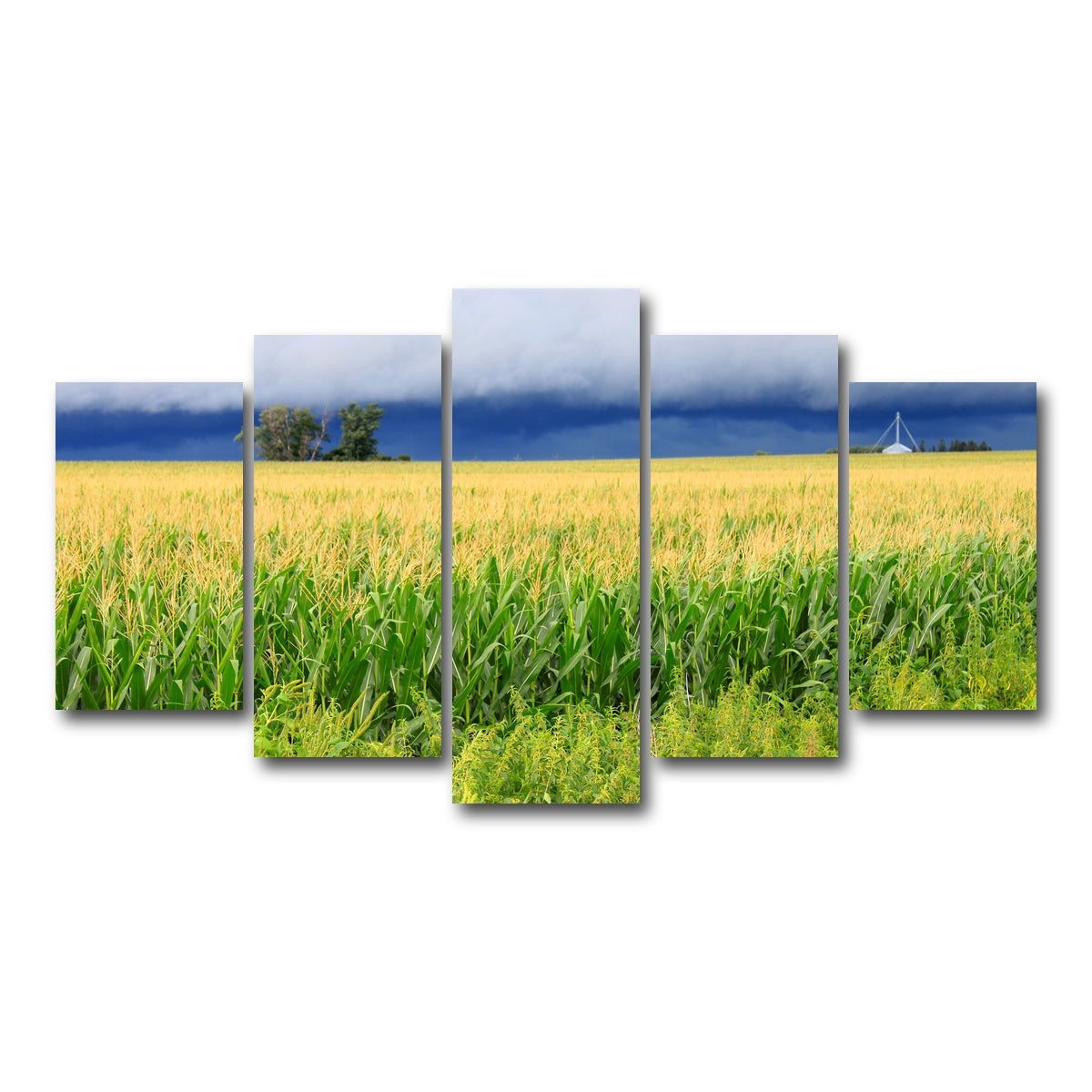 AUTO-MOCKUP WHITE | Thunderstorm Over Illinois Cornfield | 5 Piece | Gallery Wrap Canvas | group=5_normal