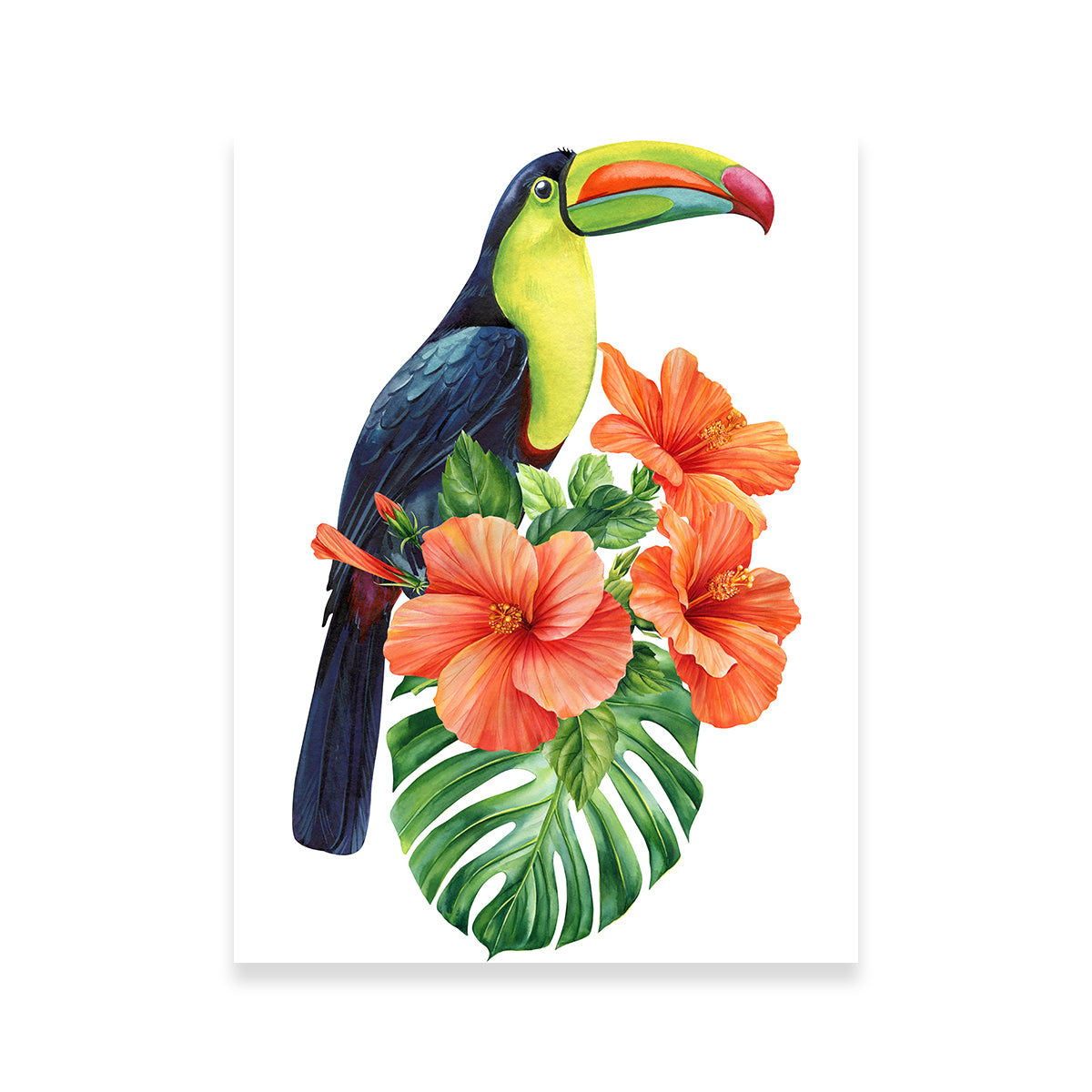 Toucan Vintage Orange