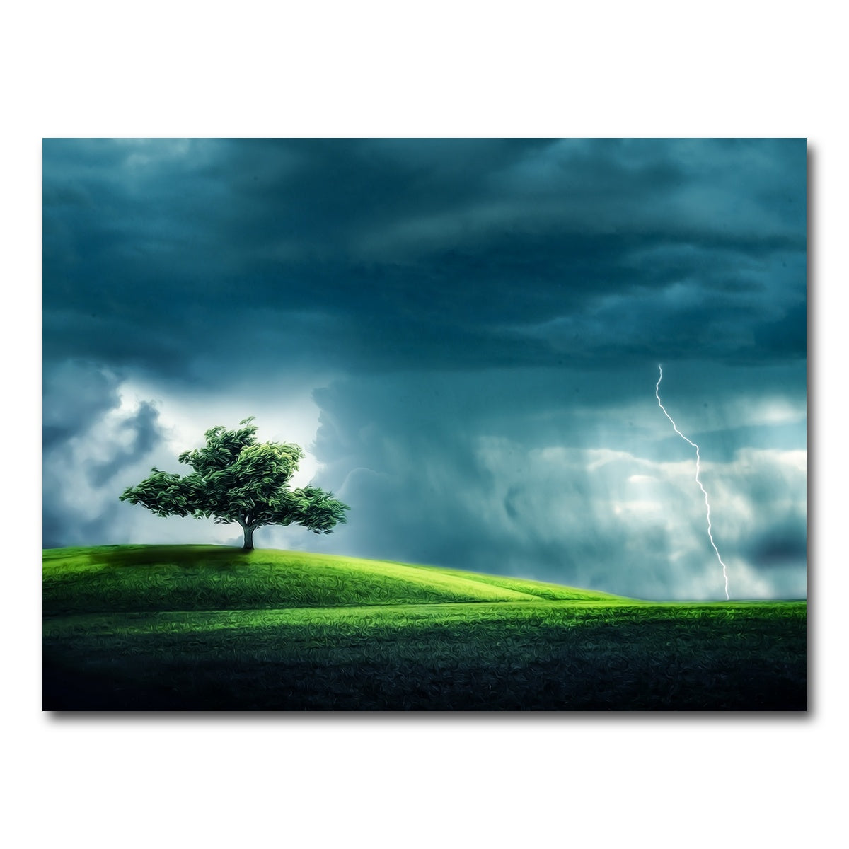 AUTO-MOCKUP WHITE | Tree Alone | 1 Piece | Gallery Wrap Canvas | group=4x3