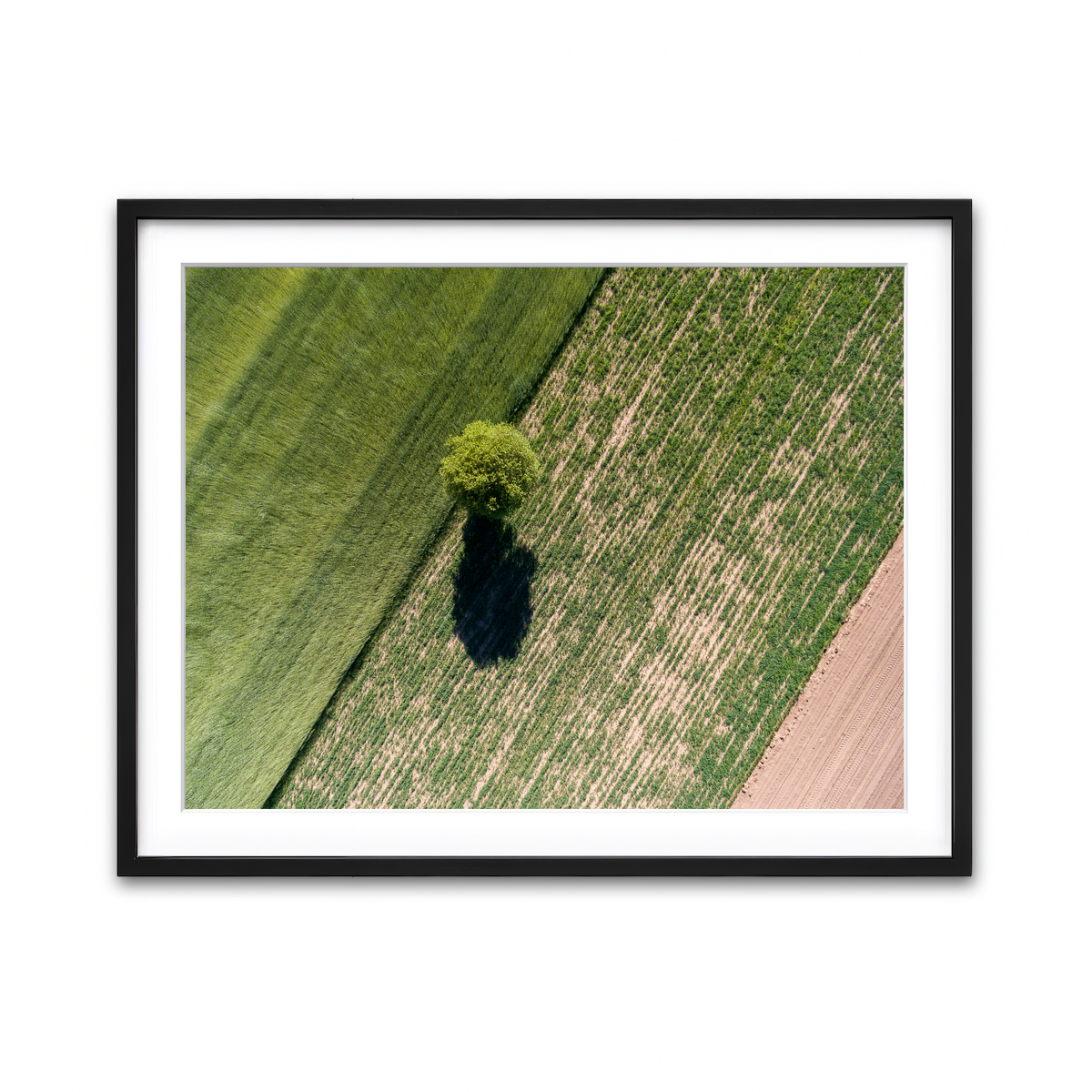 Framed Print 4x3 Black