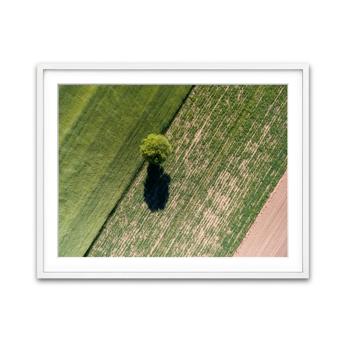 Framed Print 4x3 White