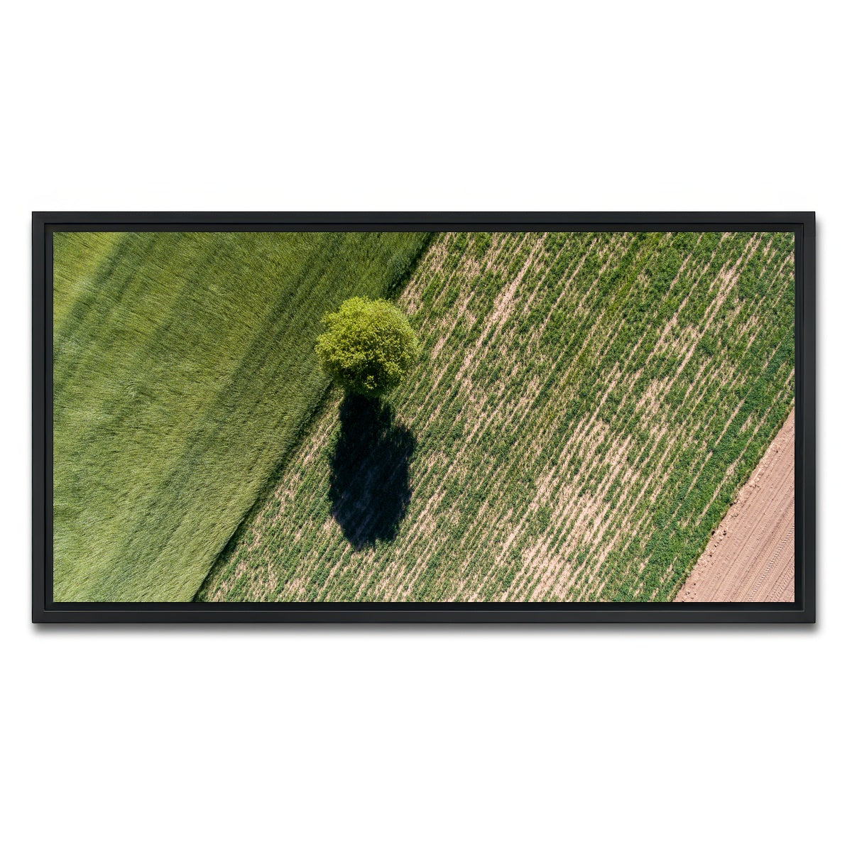 AUTO-MOCKUP WHITE | Tree Shadow | 1 Piece | Black Framed Canvas | group=2x1