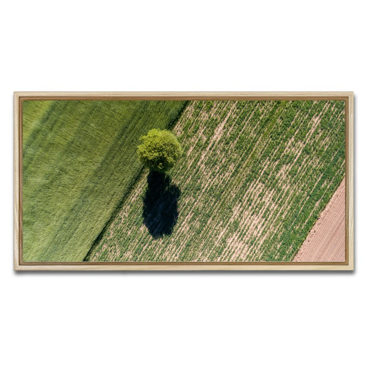 AUTO-MOCKUP WHITE | Tree Shadow | 1 Piece | Natural Framed Canvas | group=2x1