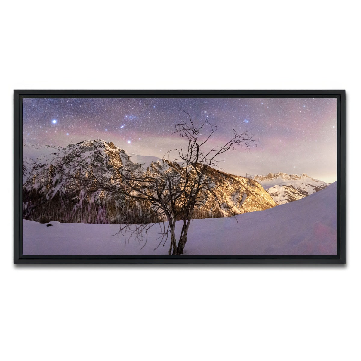 AUTO-MOCKUP WHITE | Tree of Hope | 1 Piece | Black Framed Canvas | group=2x1