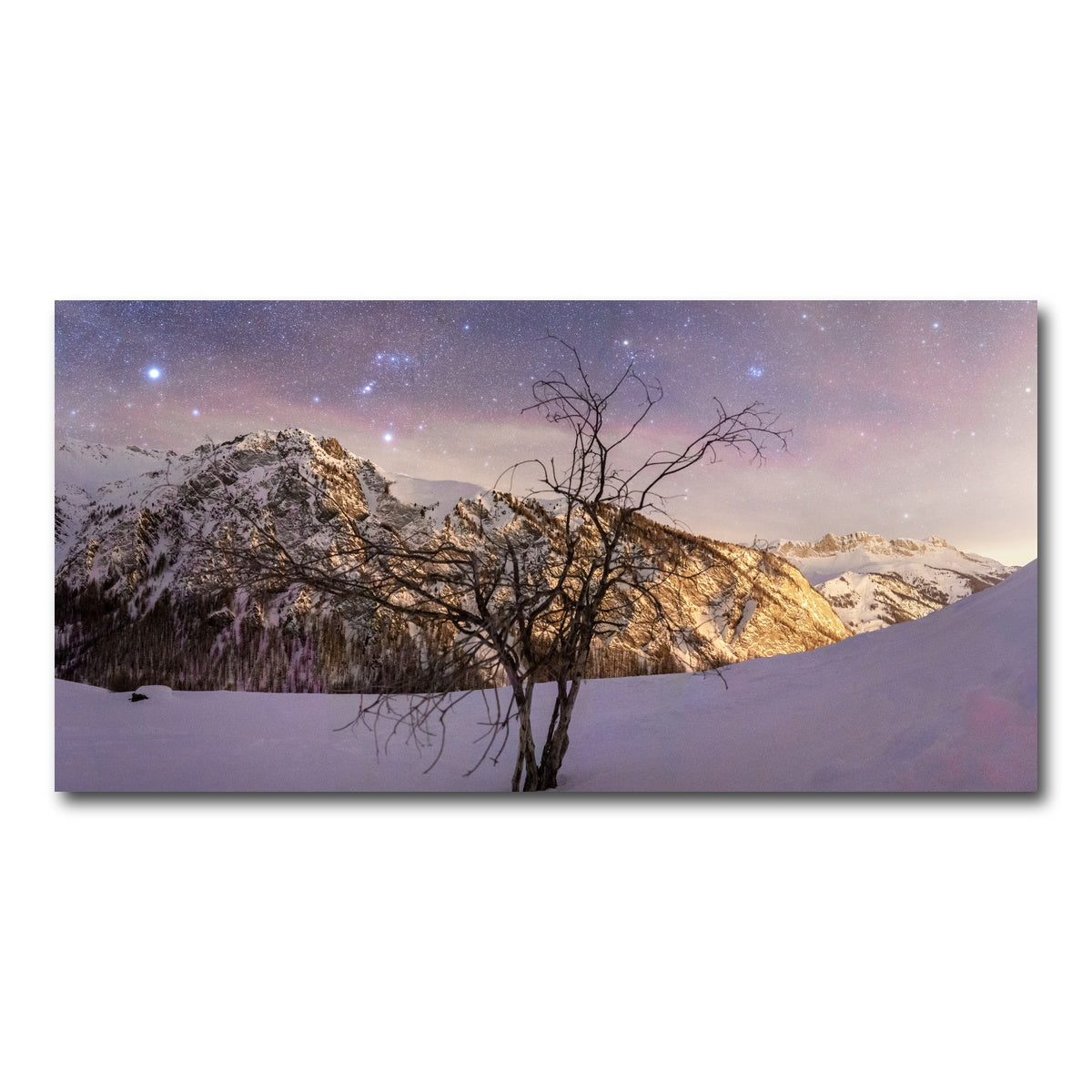 AUTO-MOCKUP WHITE | Tree of Hope | 1 Piece | Gallery Wrap Canvas | group=2x1
