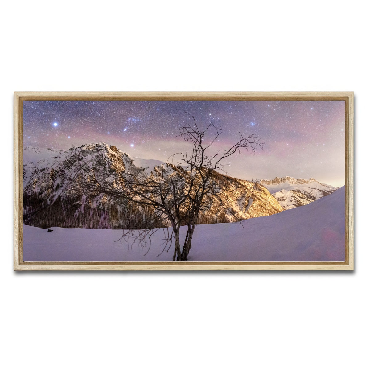 AUTO-MOCKUP WHITE | Tree of Hope | 1 Piece | Natural Framed Canvas | group=2x1