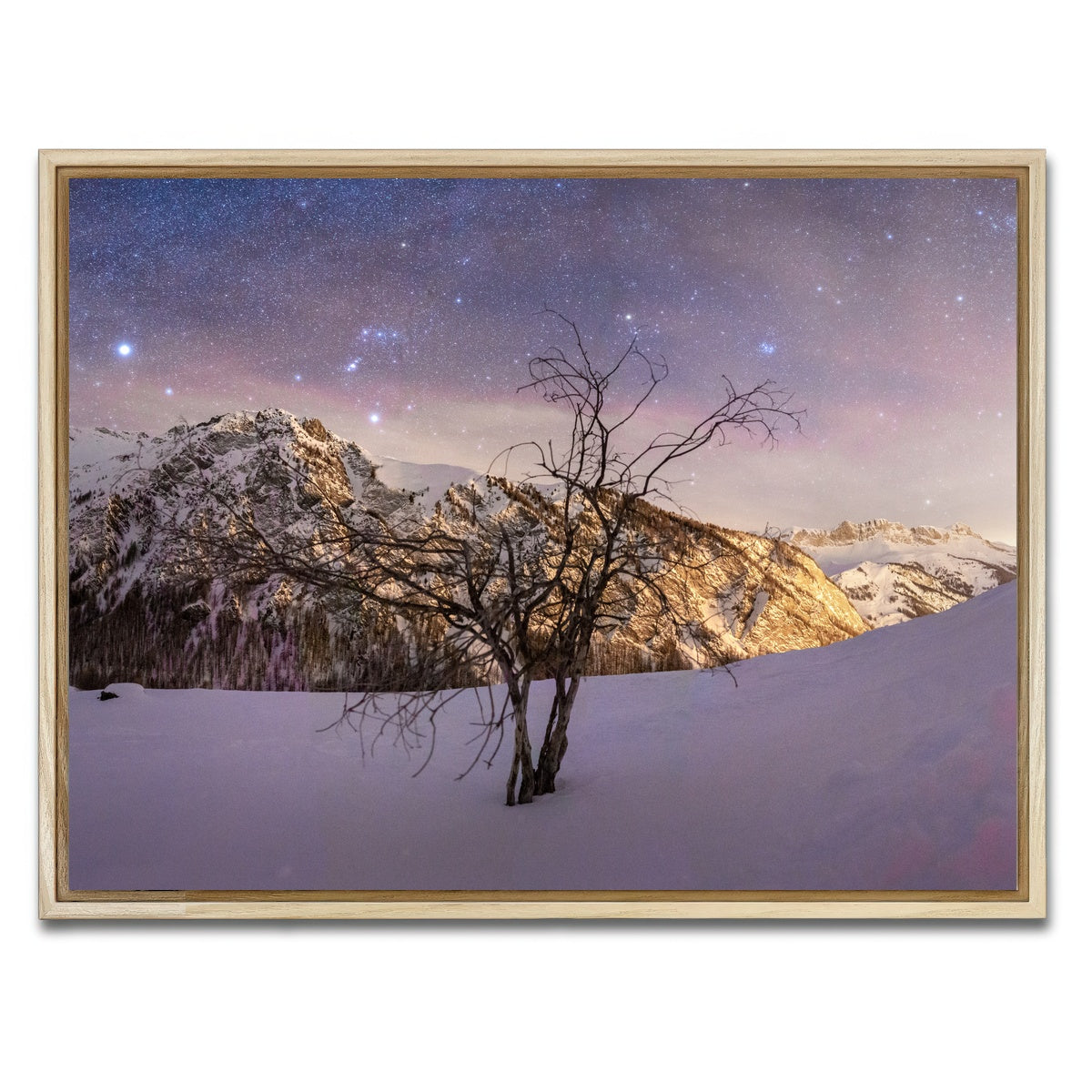 AUTO-MOCKUP WHITE | Tree of Hope | 1 Piece | Natural Framed Canvas | group=4x3
