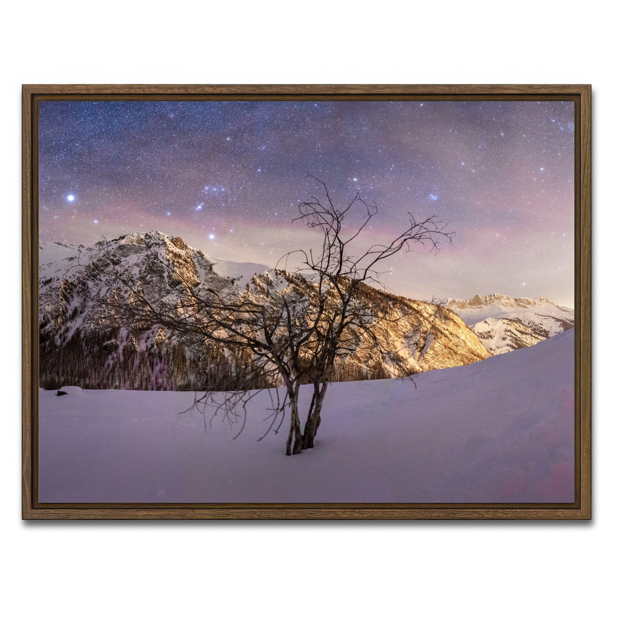 AUTO-MOCKUP WHITE | Tree of Hope | 1 Piece | Walnut Framed Canvas | group=4x3