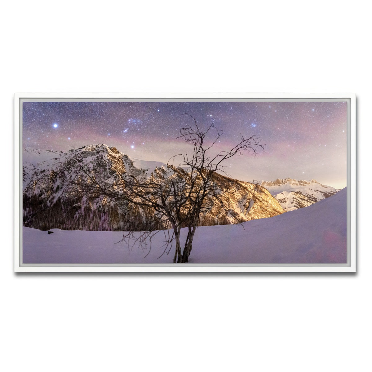 AUTO-MOCKUP WHITE | Tree of Hope | 1 Piece | White Framed Canvas | group=2x1