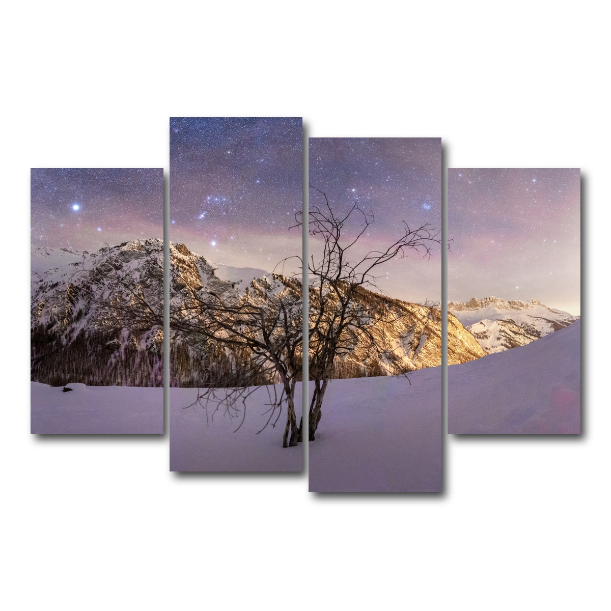 AUTO-MOCKUP WHITE | Tree of Hope | 4 Piece | Gallery Wrap Canvas | group=4_short